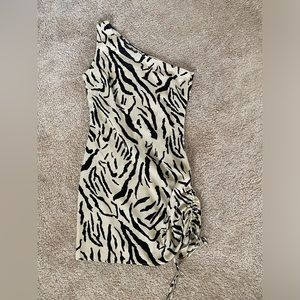 Nasty Gal Animal Print Mini Dress